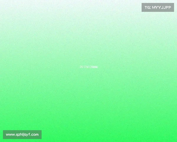 2017年12强赛战绩